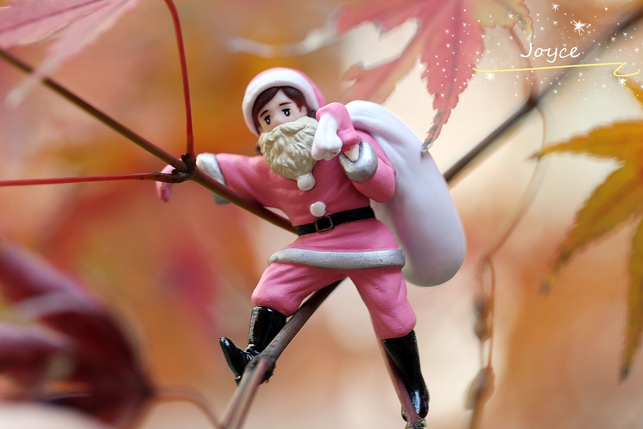 圣诞快乐啦啦啦啦！（图ZMTkwNjc2ODgw） - 产品摄影 - 站酷设计师joyce8888原创素材 - 站酷ZCOOL