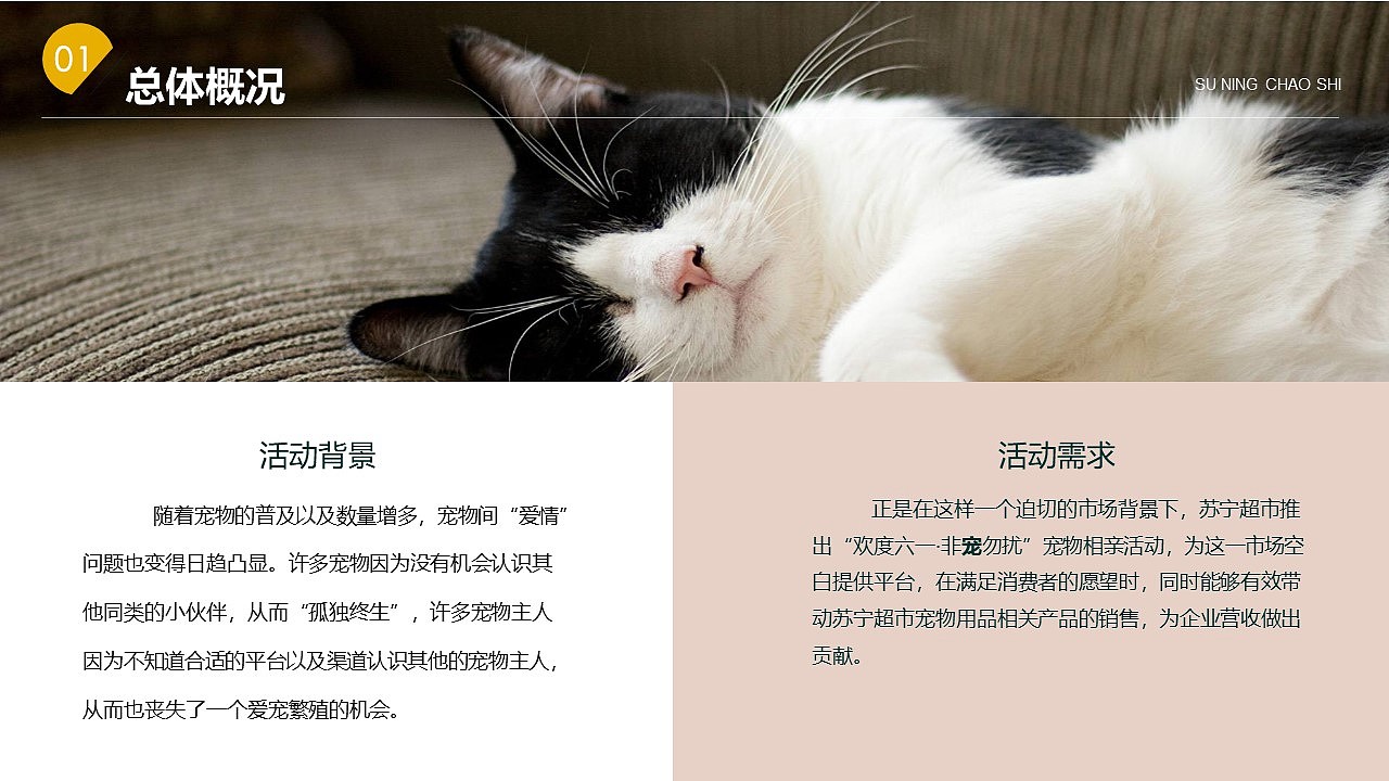 苏宁宠物相亲节（图ZMjg2OTQ5OTA4） - 其他 - 站酷设计师策划米饭原创素材 - 站酷ZCOOL