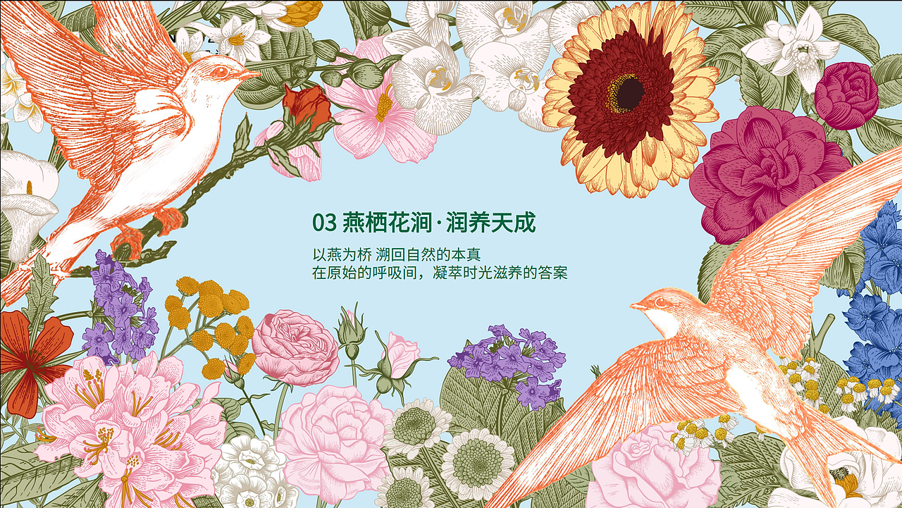 我用设计来让你貌美如花|铂燕 燕窝