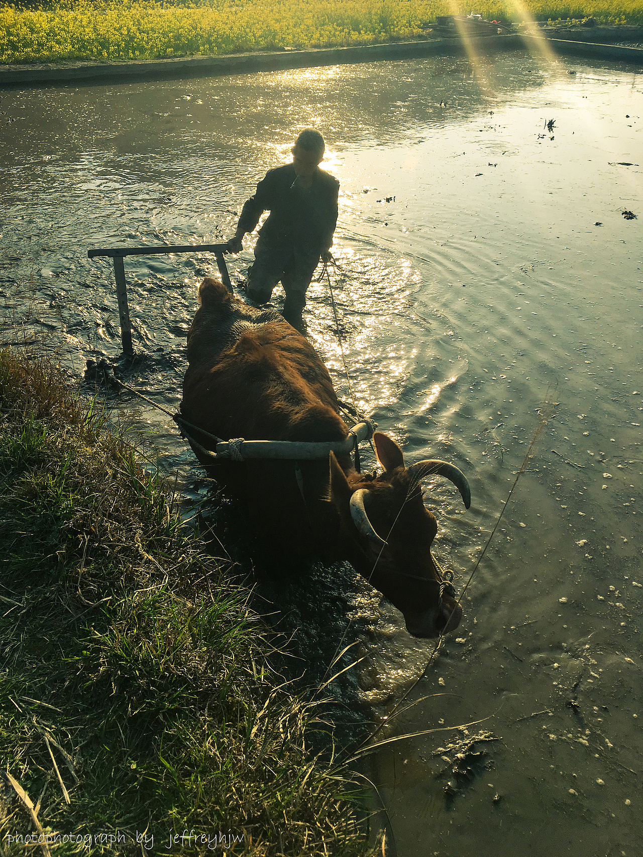 农耕记（图ZMTU0MjczNDQ4） - 人文/纪实摄影 - 站酷设计师胡常德原创素材 - 站酷ZCOOL