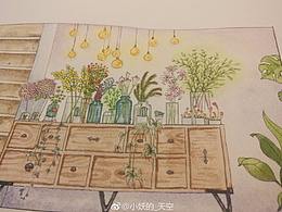 室内 软装 植物 