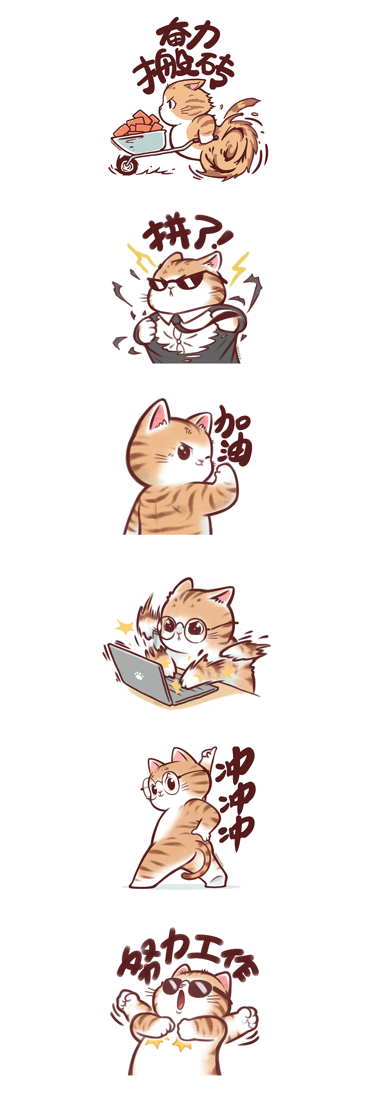 大橘木瓜——上班形象大使