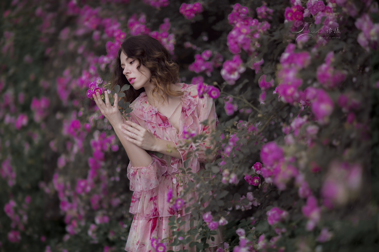 蔷薇殇（图ZMjY3MDIxMjEy） - 人像摄影 - 站酷设计师猫咪绿森林原创素材 - 站酷ZCOOL