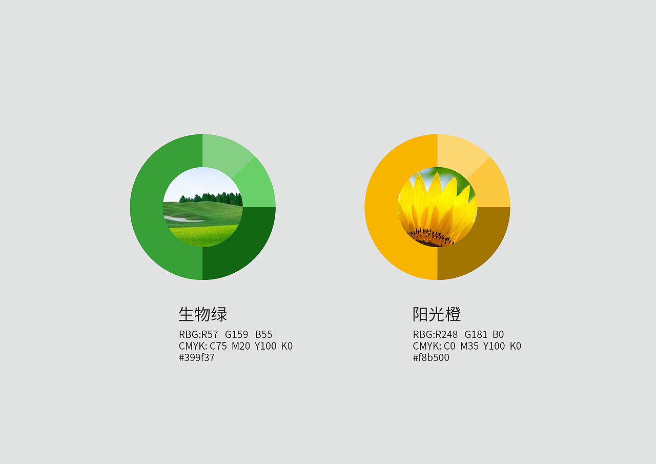 福建众益集团VIS提案