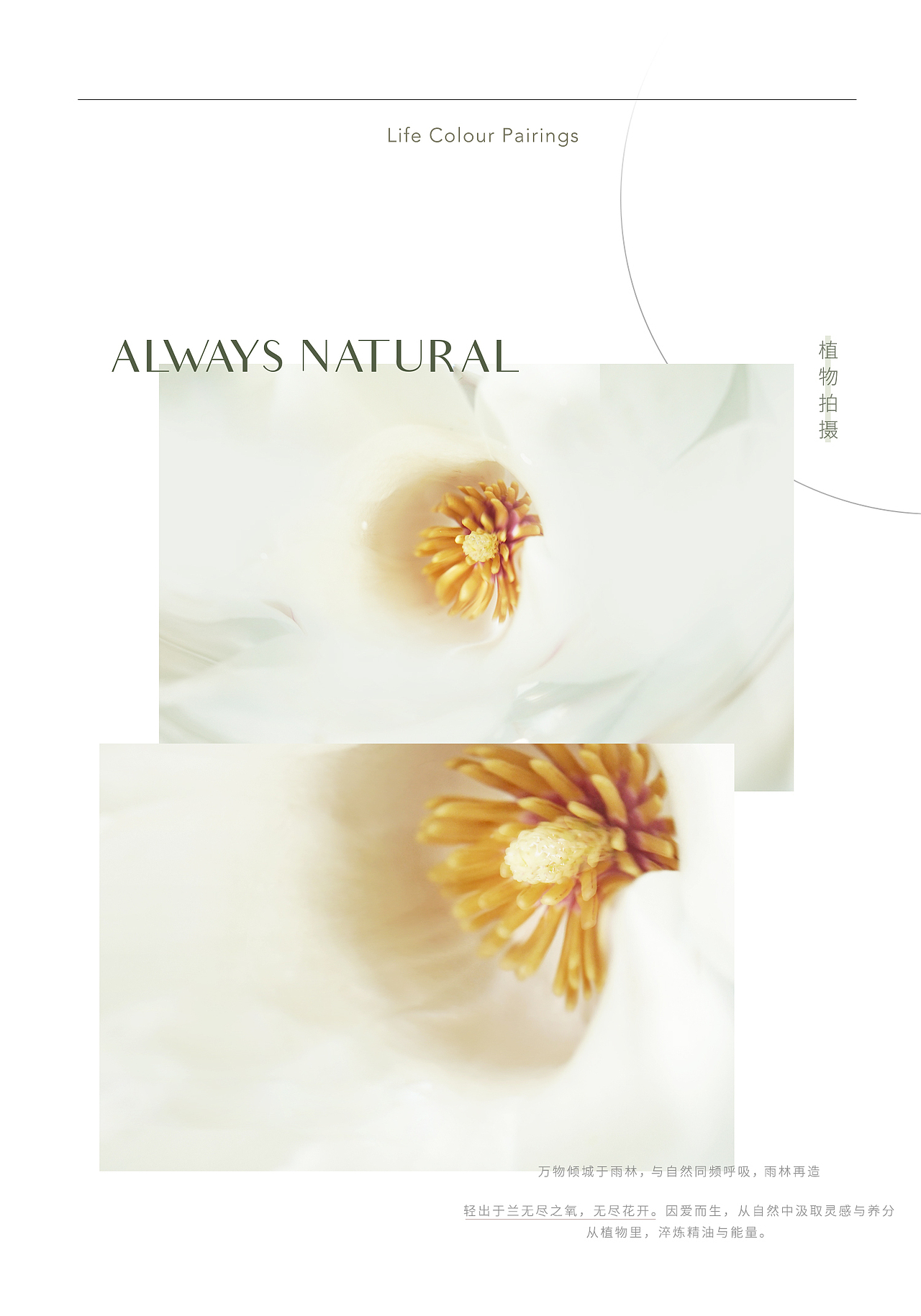 LAN蘭-2020“兰”美学视觉风格拍摄（图ZMjU5NDY2NDUy） - 产品摄影 - 站酷设计师shenya_yiyi原创素材 - 站酷ZCOOL