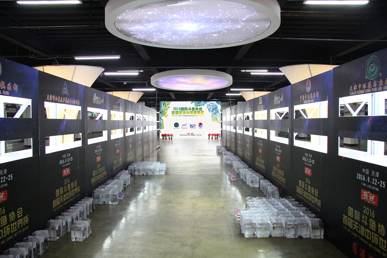 现场布置安排前后