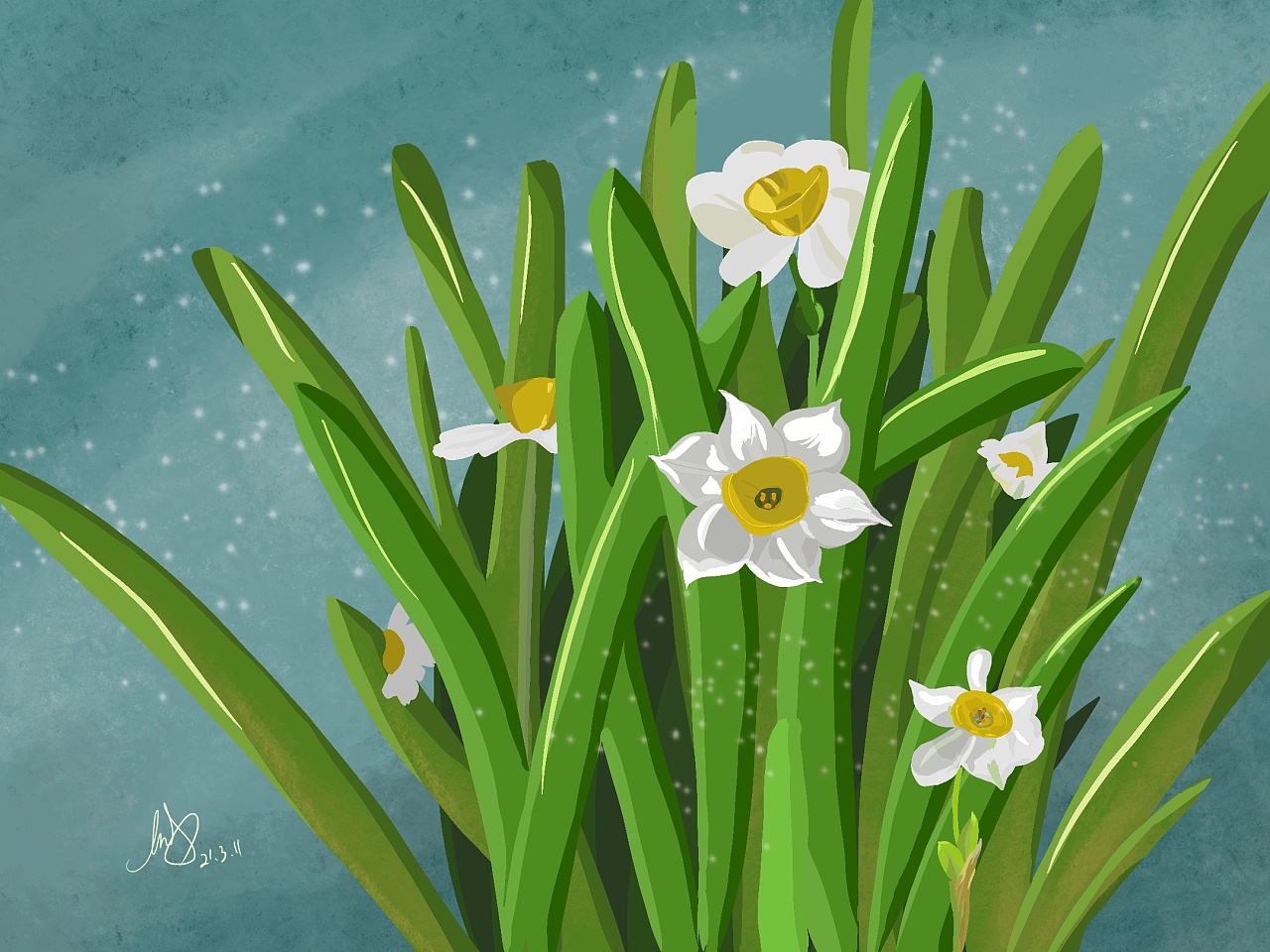 自己种的水仙花|平面|图案|bryshoo - 原创作品 - 站酷 (zcool)