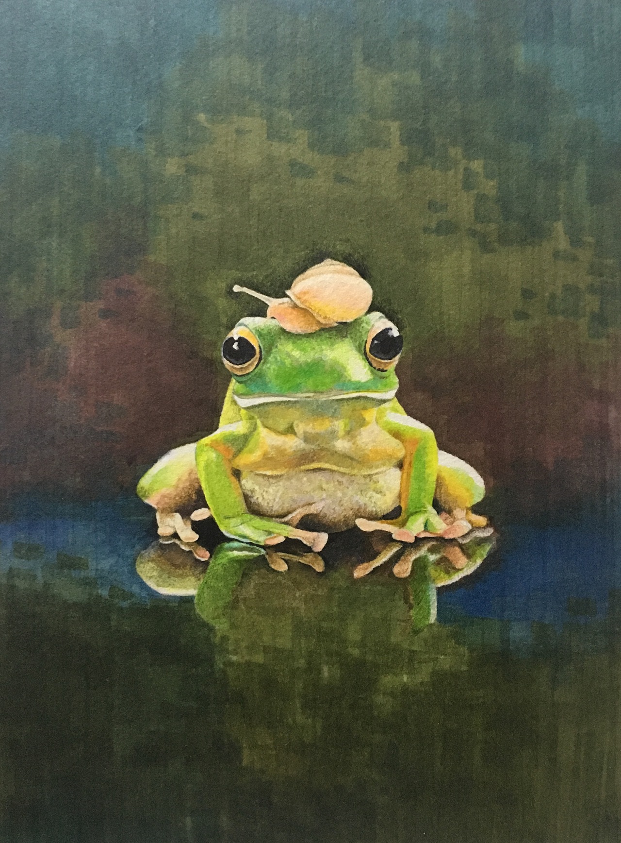 动物绘画300篇|插画|插画习作|八尾猫84 - 原创作品 - 站酷 (zcool)