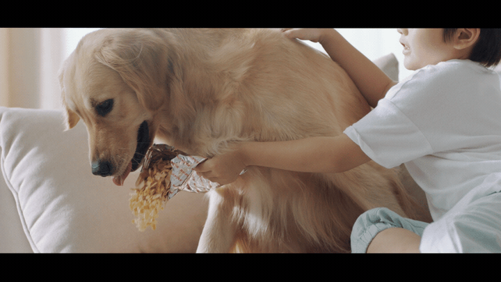 莱克吸尘器|TVC|响马摄影（图ZMjI3MjgyMjI0） - 短片 - 站酷设计师响马摄影原创素材 - 站酷ZCOOL