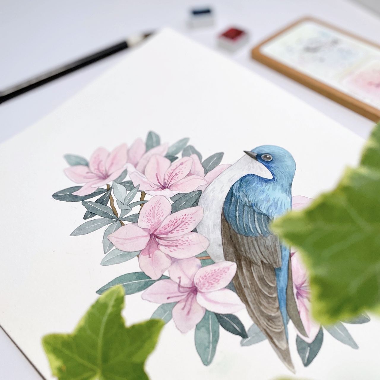 杜鹃花和小树燕|插画|创作习作|玉米呀yumia - 原创作品 - 站酷