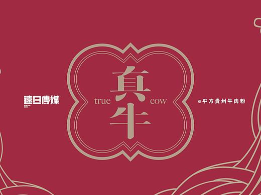 包裝設計-貴州E平方牛肉粉