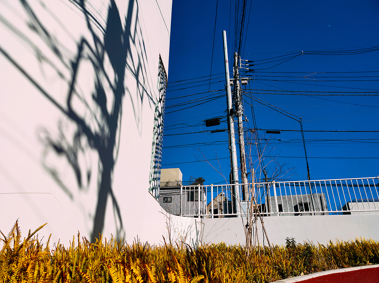 realme X50手机样片拍摄