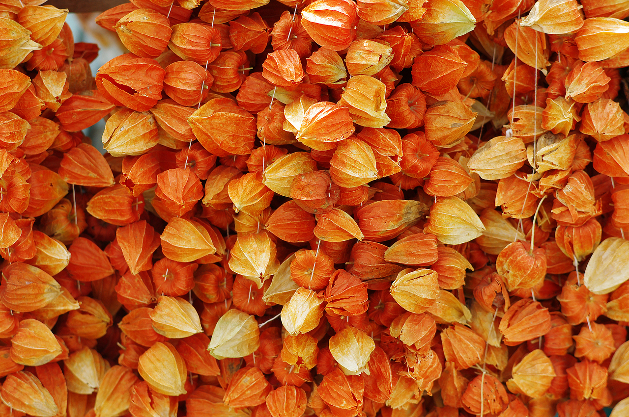 如果你想要什么 那就勇敢地去追求 不要管别人是怎么想的 因为这就是实现
梦想的方式。