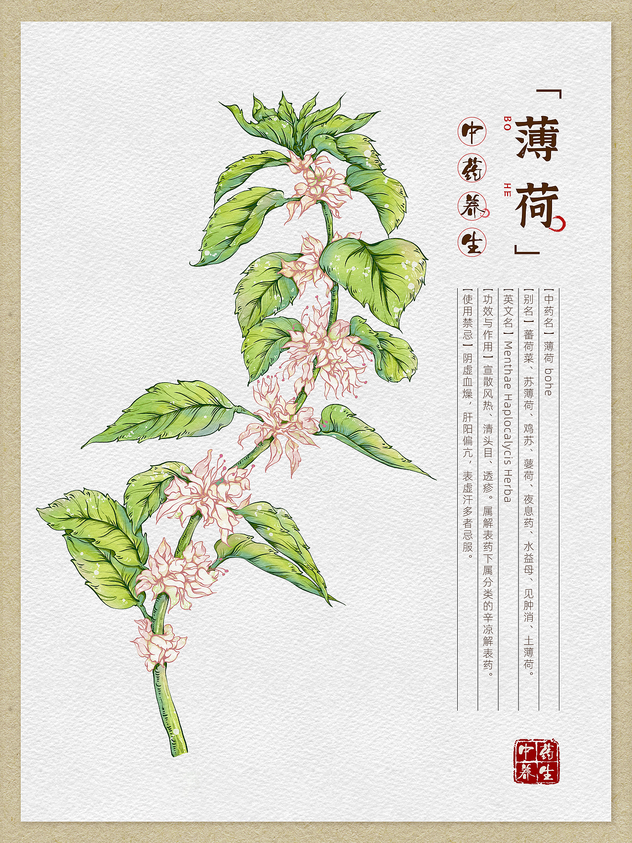 本草纲目-中草药手绘插画图鉴（图ZMzA2Nzk4ODA4） - 商业插画 - 站酷设计师YAOHAN姚函原创素材 - 站酷ZCOOL