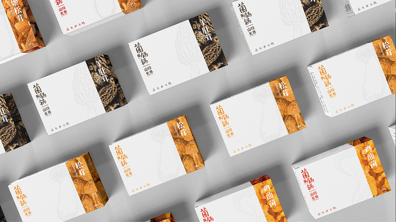 品牌设计作品集