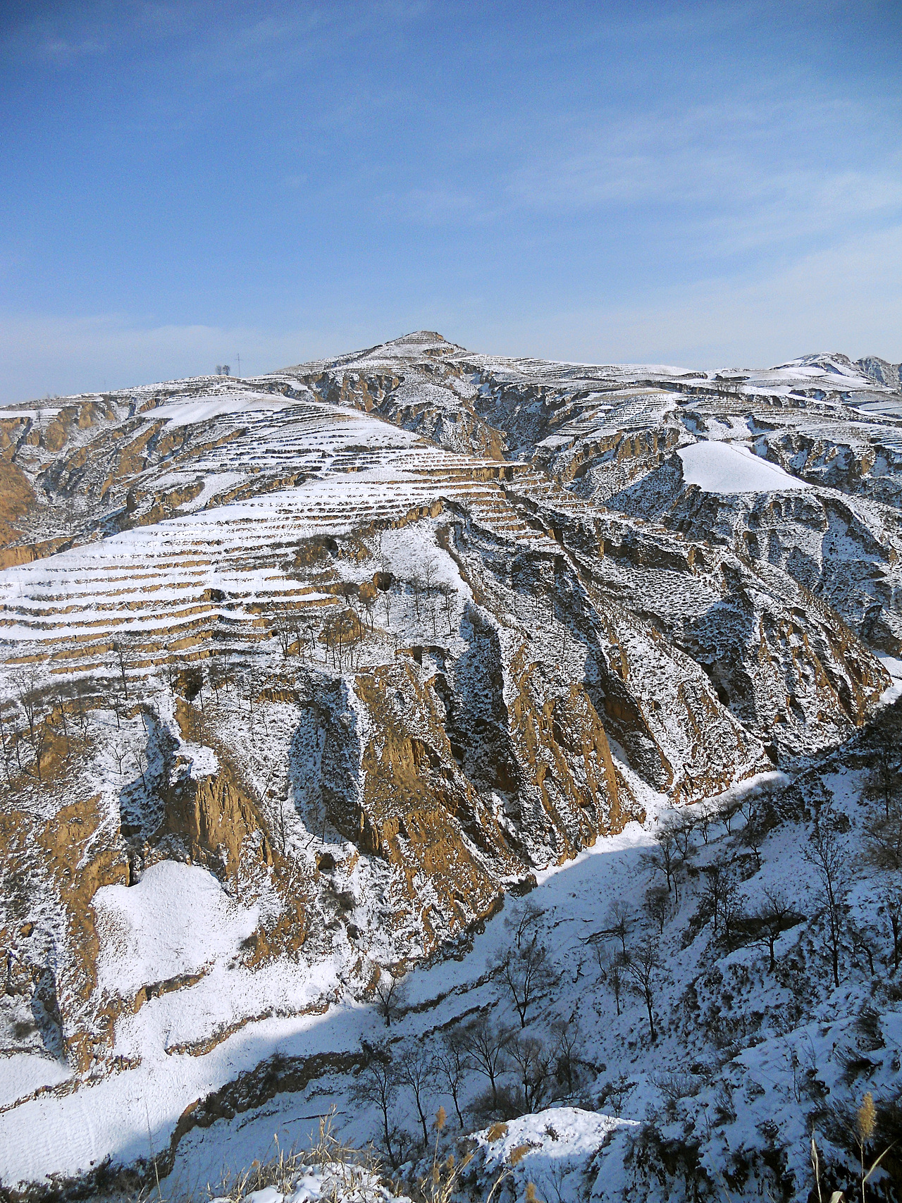 黄土高原的万里雪