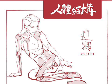 每日速写-人体结构