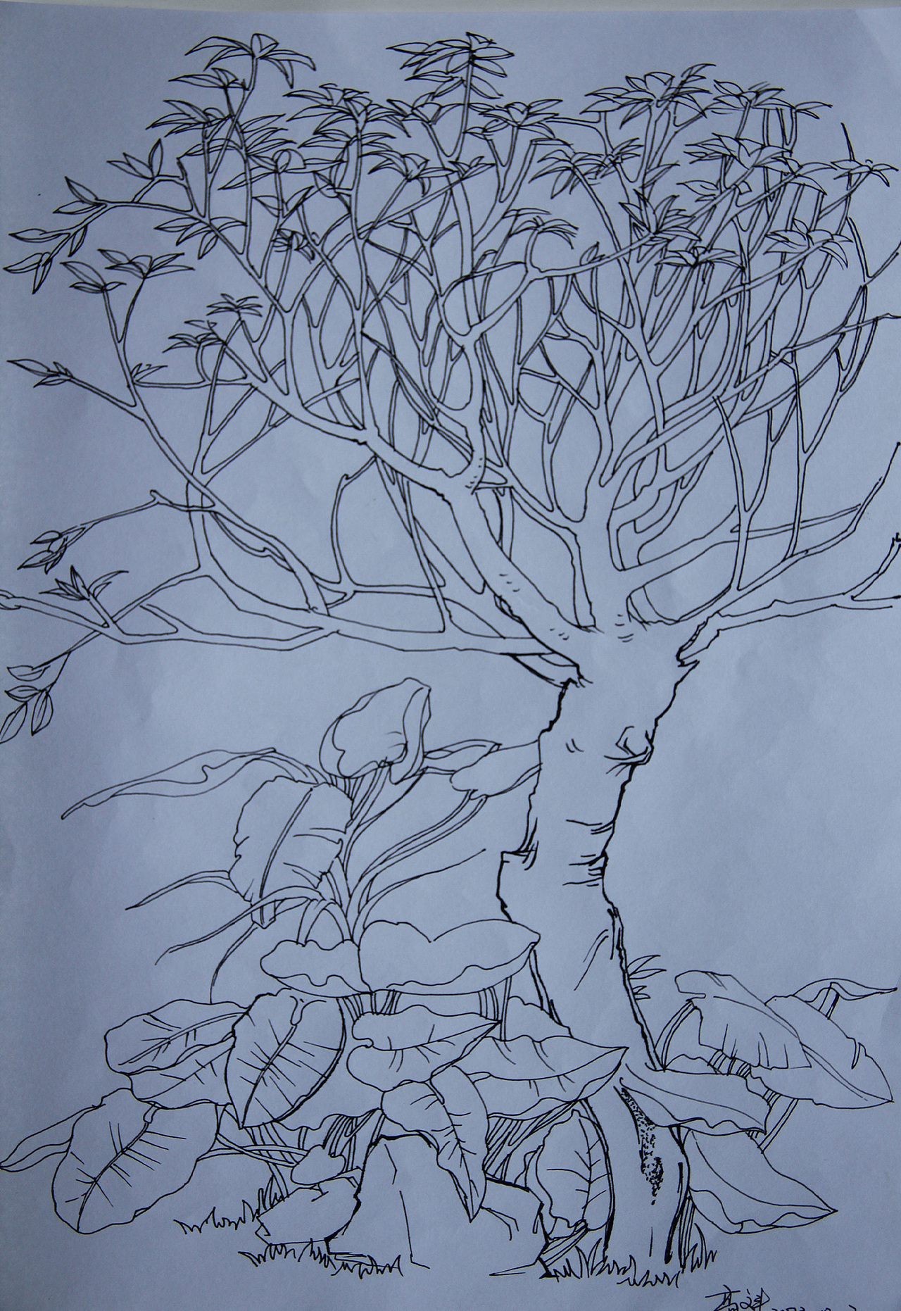 手绘4（图ZMTMyNTM5Mjg=） - 创作习作 - 站酷设计师丰兄G原创素材 - 站酷ZCOOL