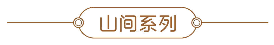 “中条山下”农产品包装设计（图ZMjE5ODkyOTg4） - 品牌 - 站酷设计师屿也原创素材 - 站酷ZCOOL