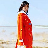 王哈哈啊的头像