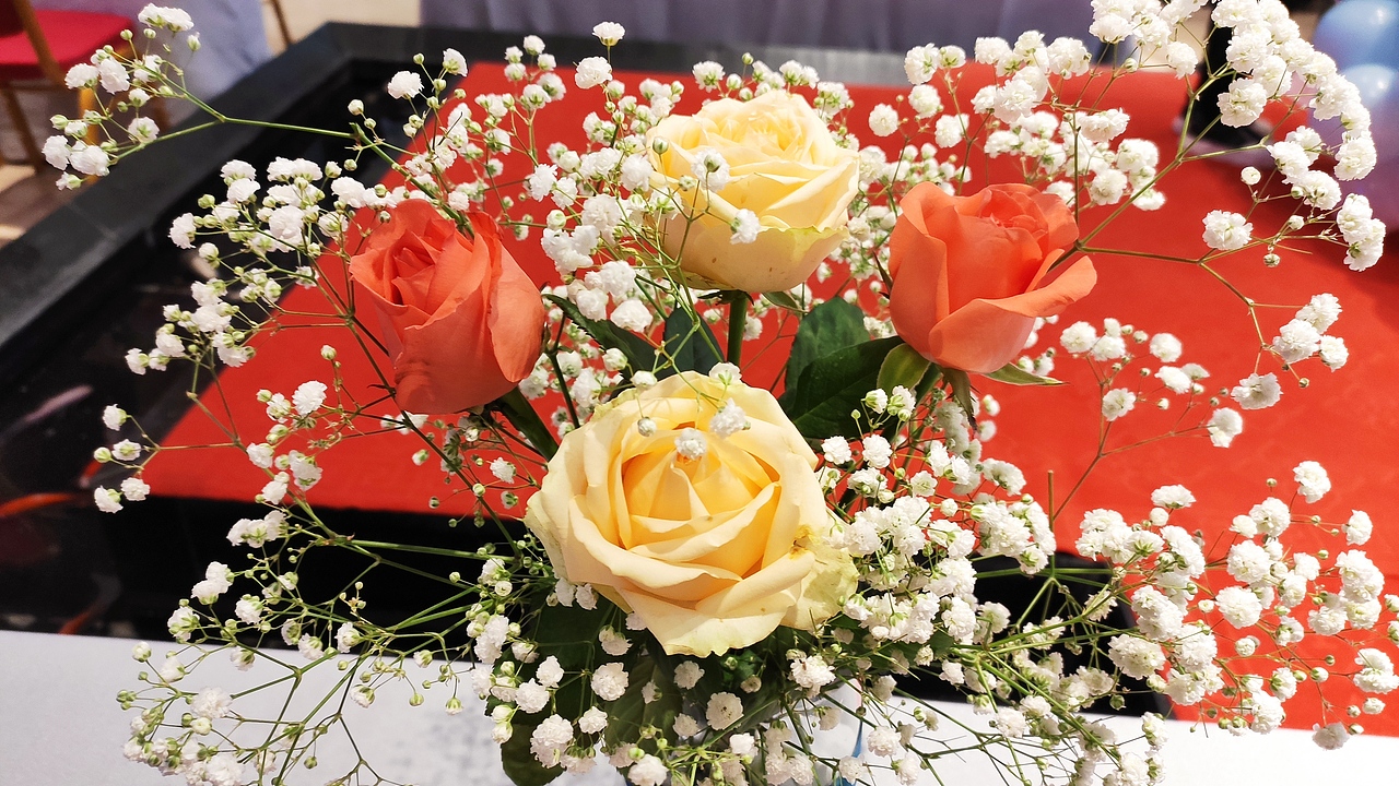 东方心绣脸见面会