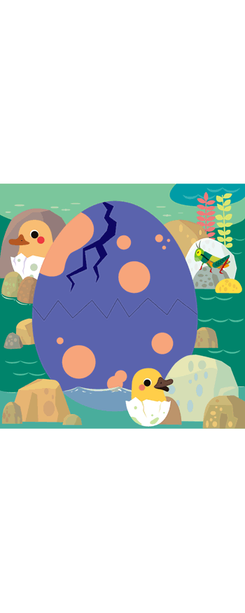 幼儿折叠书____趣味卵生动物（图ZMjg2OTExMzQ4） - 儿童插画 - 站酷设计师momohuhu原创素材 - 站酷ZCOOL