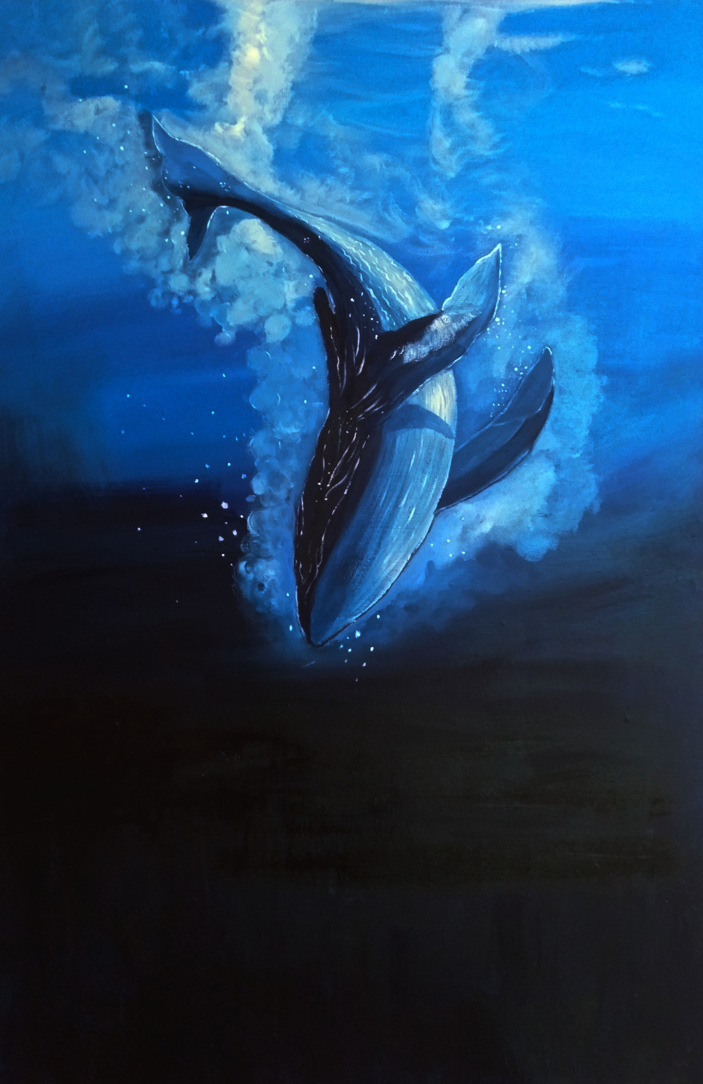 深海蓝鲸 唯美图片