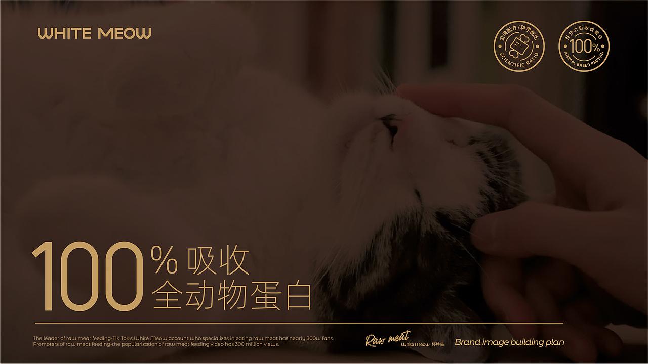生骨肉喂养专家——怀特喵·宠物品牌升级（图ZMzEwMDYyNjI0） - 品牌 - 站酷设计师核桃设计原创素材 - 站酷ZCOOL