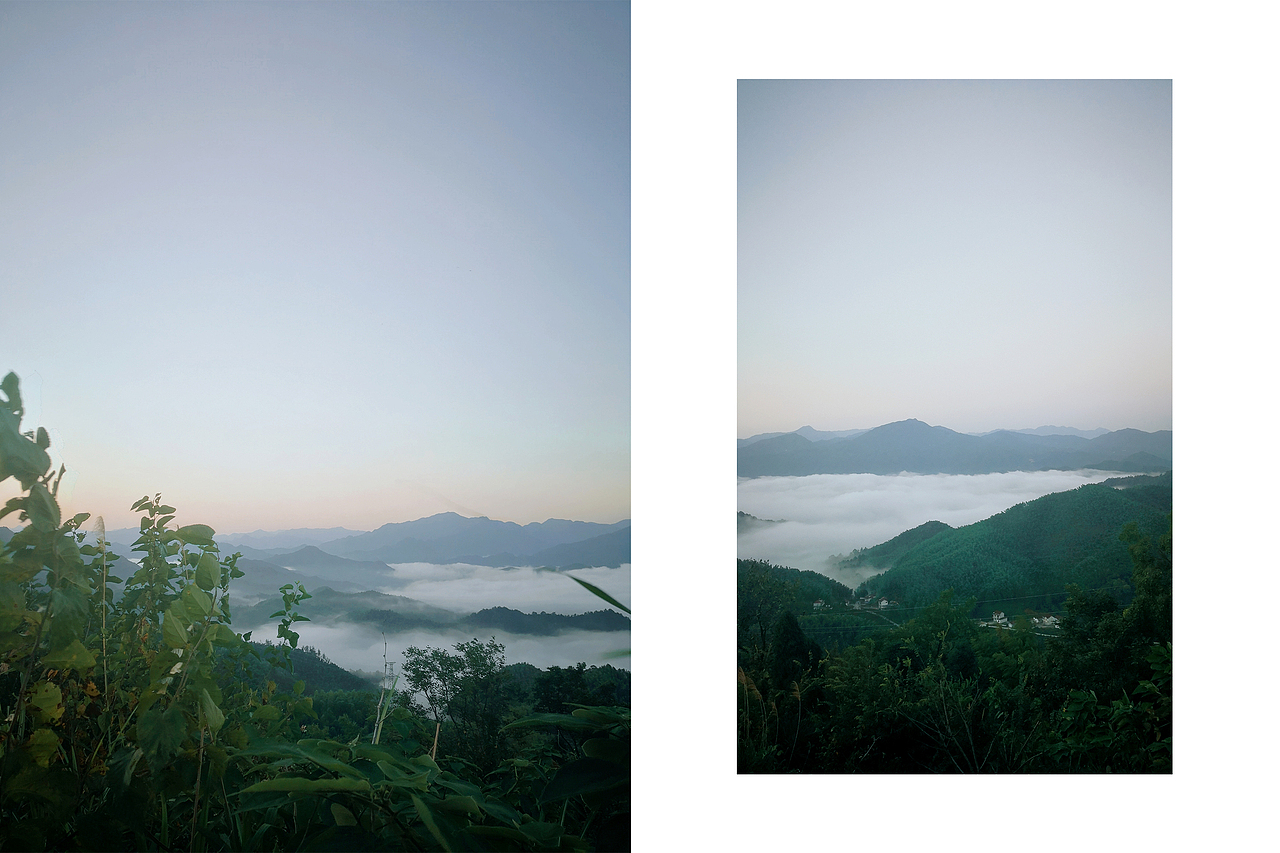 小梦的随手拍-第2期