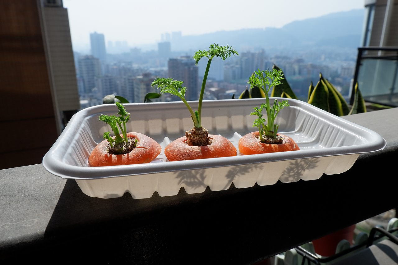 弎胡岛的夏天（图ZMjExOTEwNDU2） - 海报 - 站酷设计师橙紫红视觉原创素材 - 站酷ZCOOL