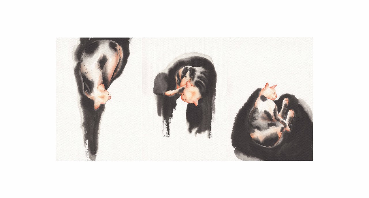 睡貓（圖ZMTUxNjEyNTky） - 藝術(shù)插畫 - 站酷設(shè)計師白比原創(chuàng)素材 - 站酷ZCOOL