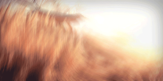 决战!平安京 2020OPL总决赛开场倒计时