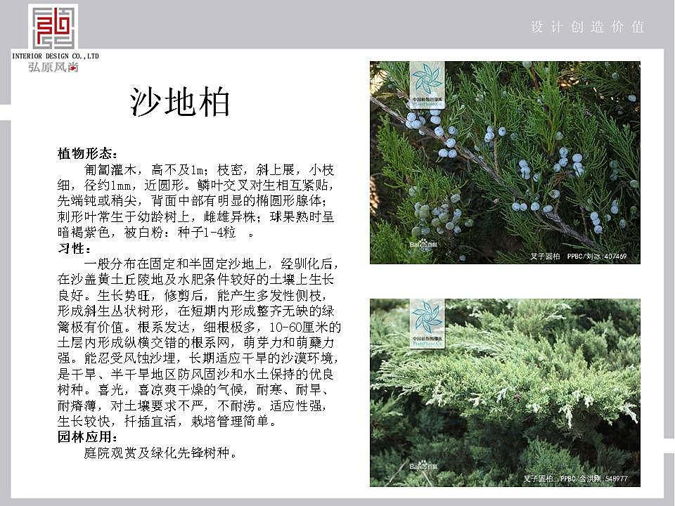 一个小院子的前期