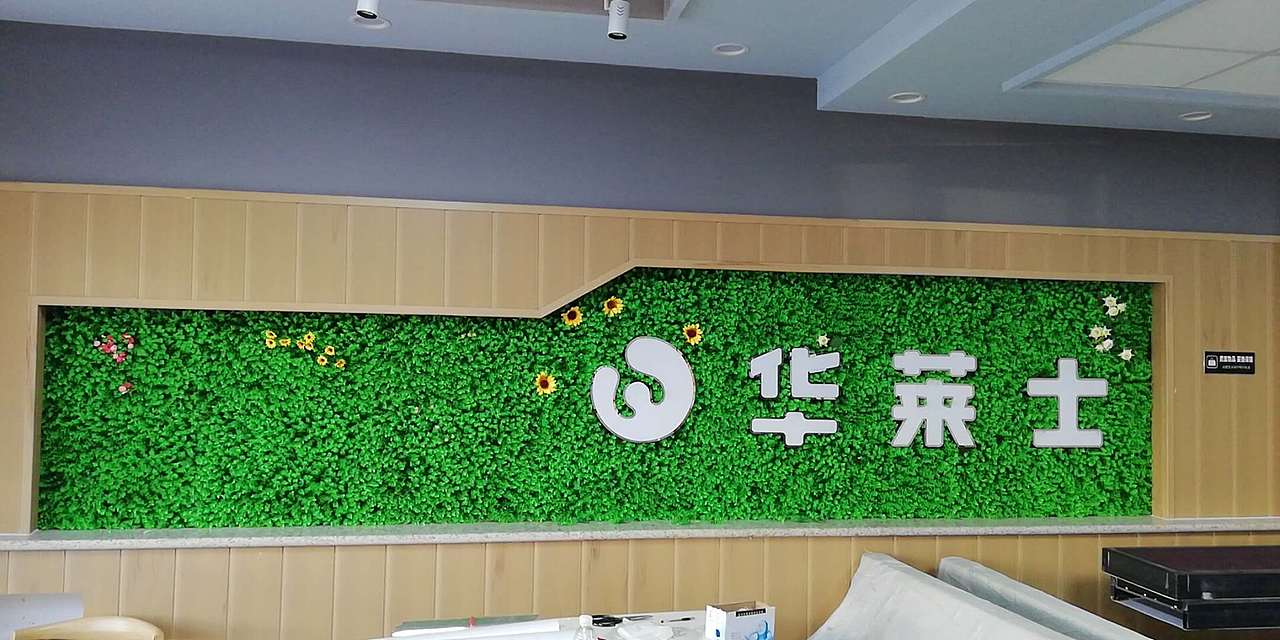 华莱士墙体彩绘 加墙体绿植彩妆