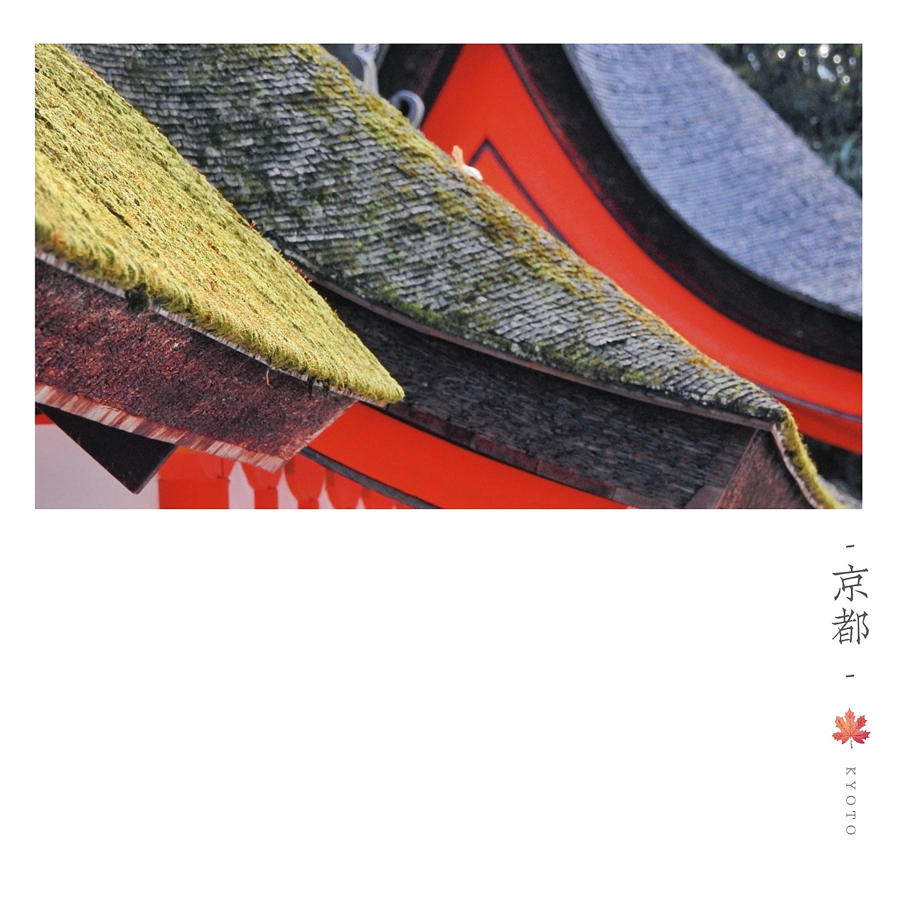 京都楓葉季