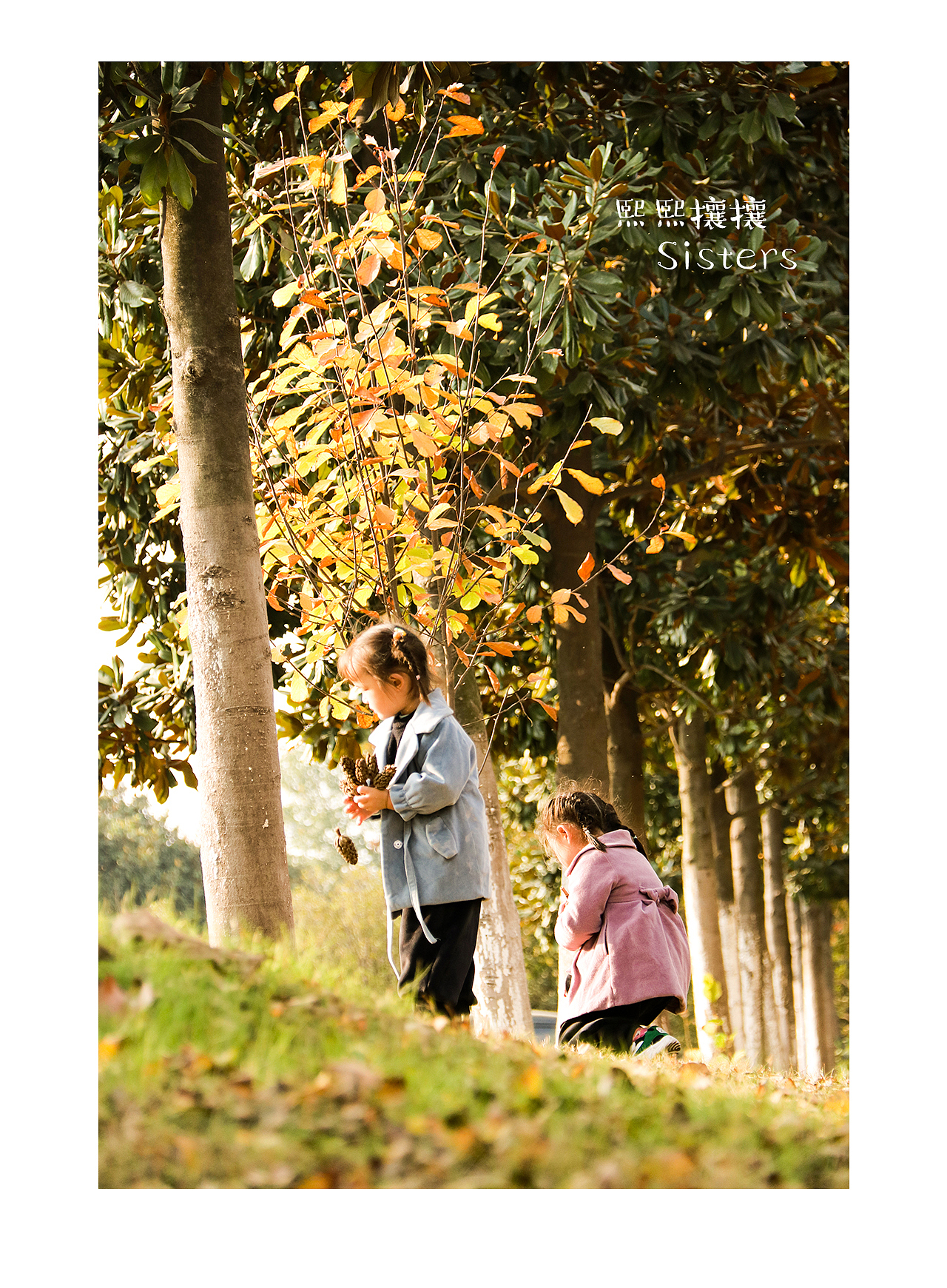 我的熙熙攘攘拍摄——秋天落叶（图ZMTgzMzcyMDMy） - 人像摄影 - 站酷设计师我的熙熙攘攘原创素材 - 站酷ZCOOL