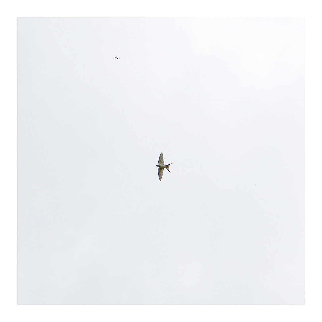 静（图ZMzQ3NTY0MDQ=） - 风光摄影 - 站酷设计师明原创素材 - 站酷ZCOOL