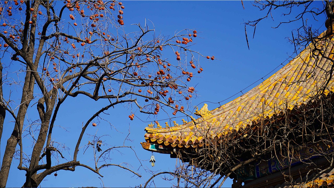 北京雍和宫拍摄记录（图ZMjM3NDEzNTMy） - 环境/建筑摄影 - 站酷设计师微草堂狐仙大人原创素材 - 站酷ZCOOL