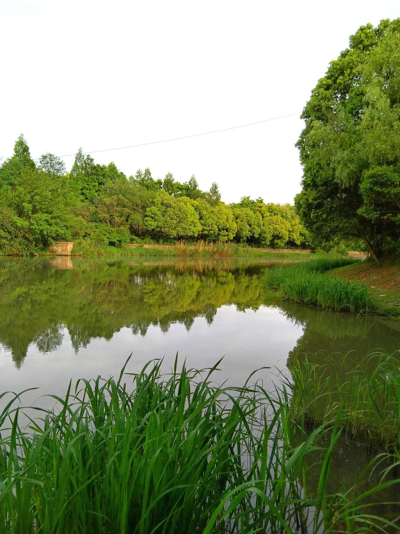 宝山.丰翔智秀公园