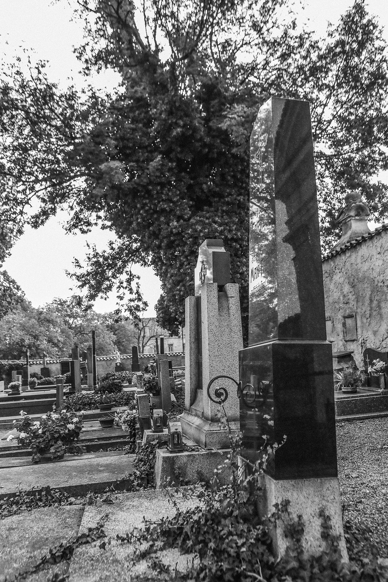 {海德娜娜} 人骨教堂