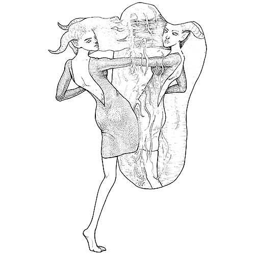 星肖绘 双子座 生肖羊