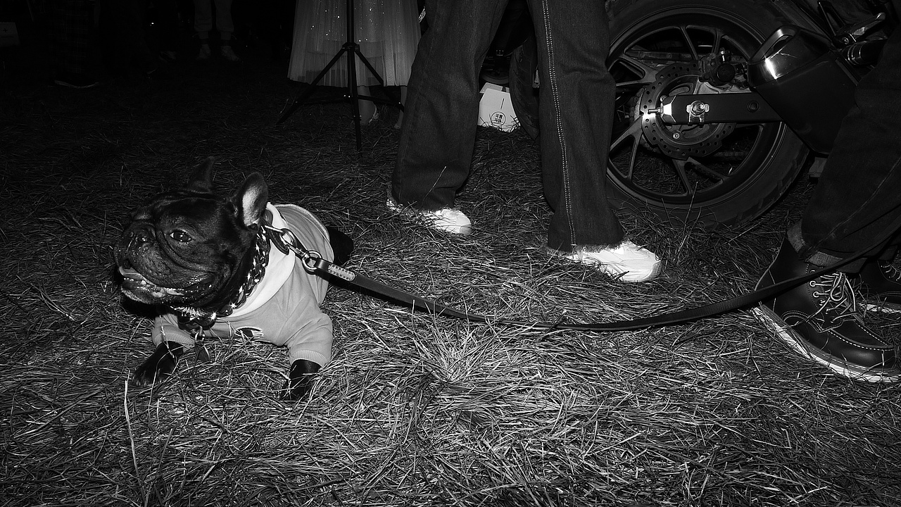 life（圖ZMjc3NjM0Mjcy） - 人文/紀(jì)實攝影 - 站酷設(shè)計師yangmiao26原創(chuàng)素材 - 站酷ZCOOL