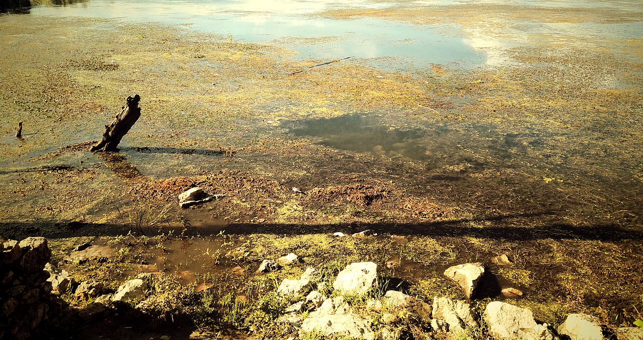 手机摄影-摄影题材来源于大理