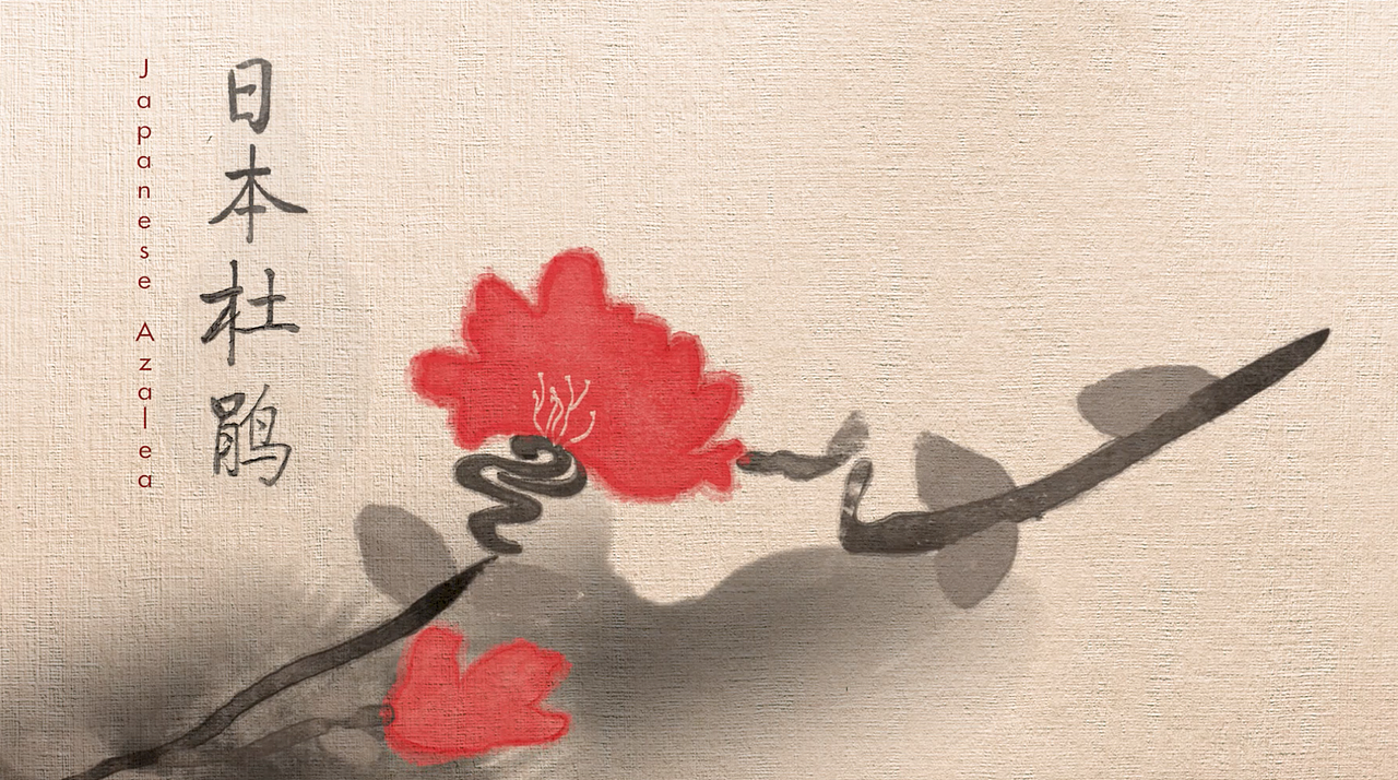 A Living Art（图ZMTUxNDkxMDc2） - Motion Graphic - 站酷设计师Z45186597原创素材 - 站酷ZCOOL