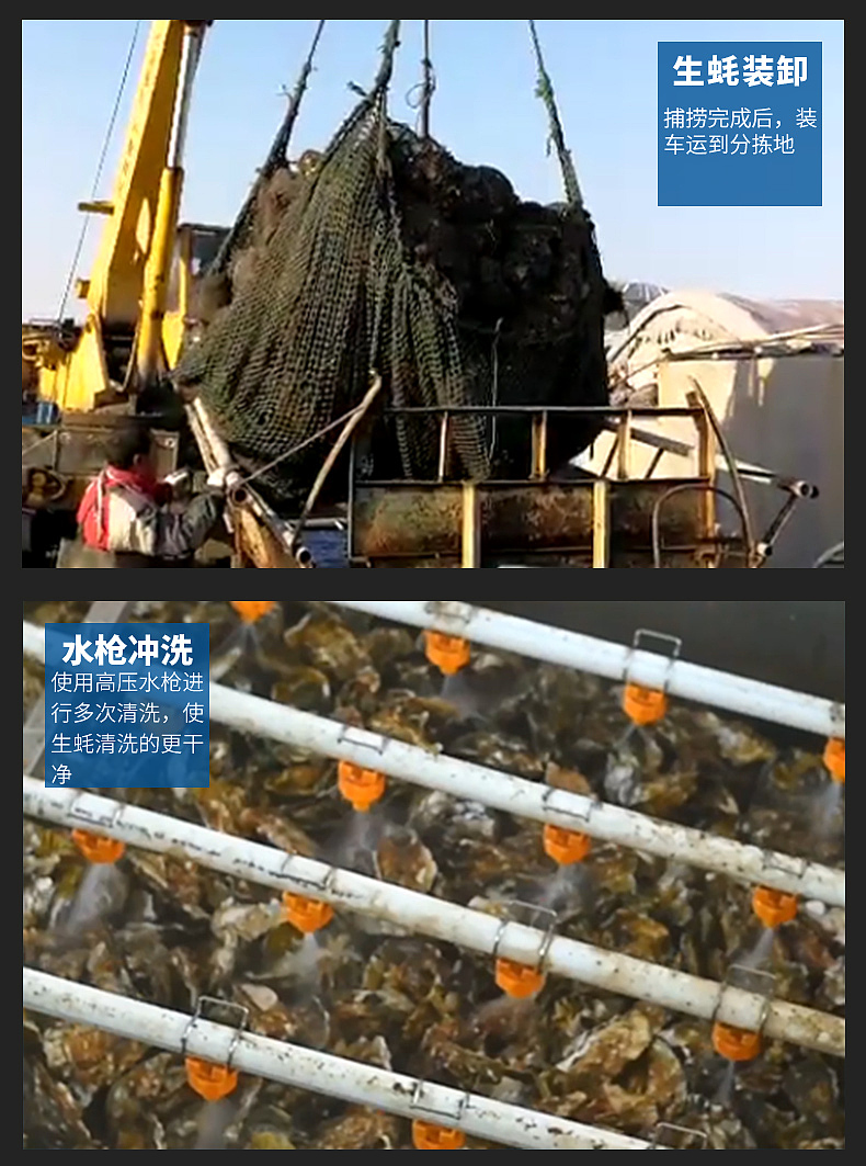 生蚝详情页（图ZMTEyMjU1MTgw） - 电商 - 站酷设计师漆黑小帽原创素材 - 站酷ZCOOL