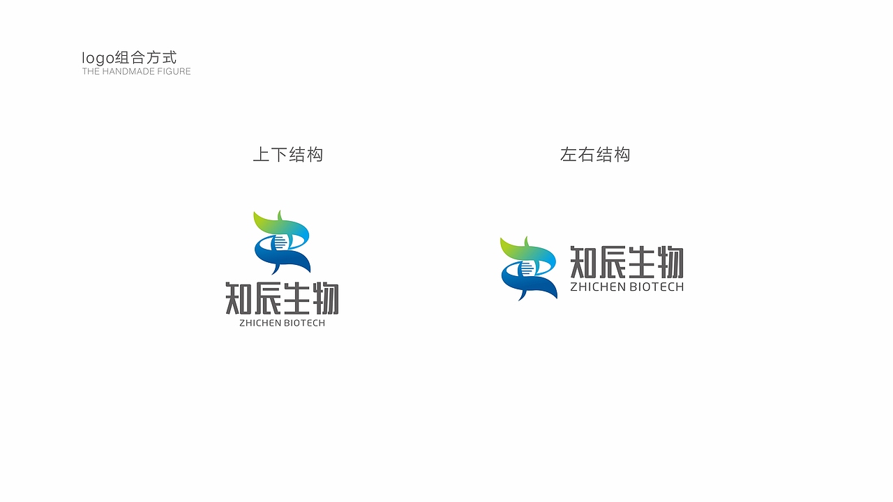 知辰生物logo(飞机稿)