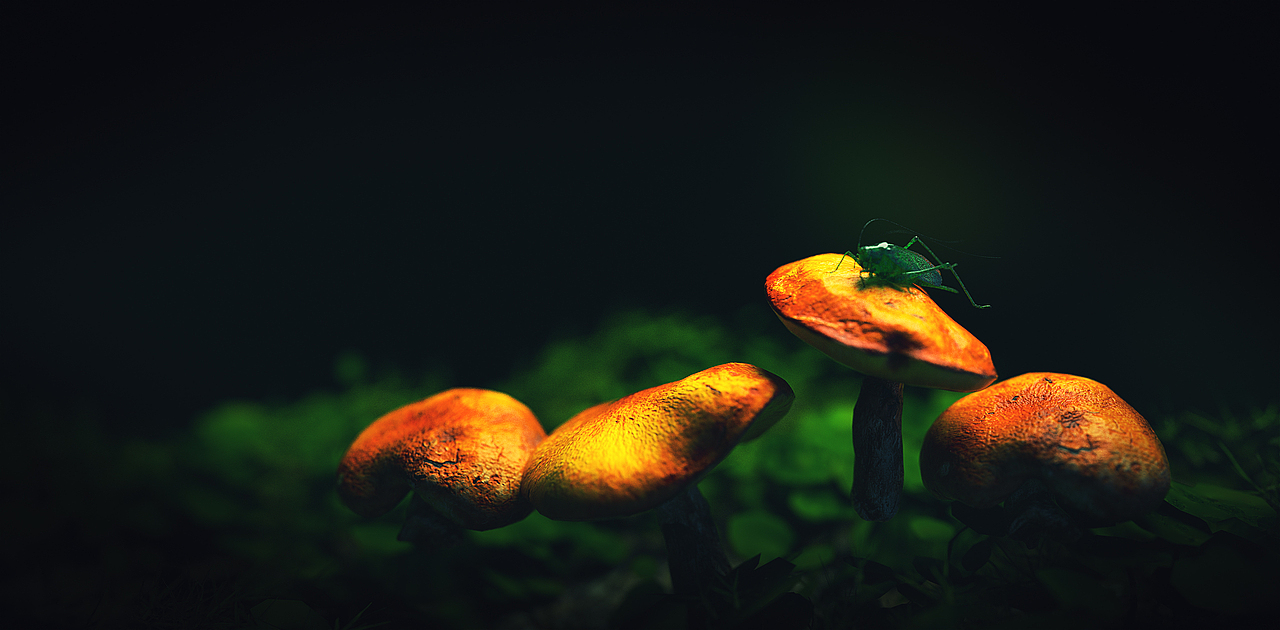 近期C4D渲染练习（三个案例，科技-生物写实-古风）（图ZMjY5Mjc0MjA4） - 动画/影视 - 站酷设计师LIANGNicholas原创素材 - 站酷ZCOOL