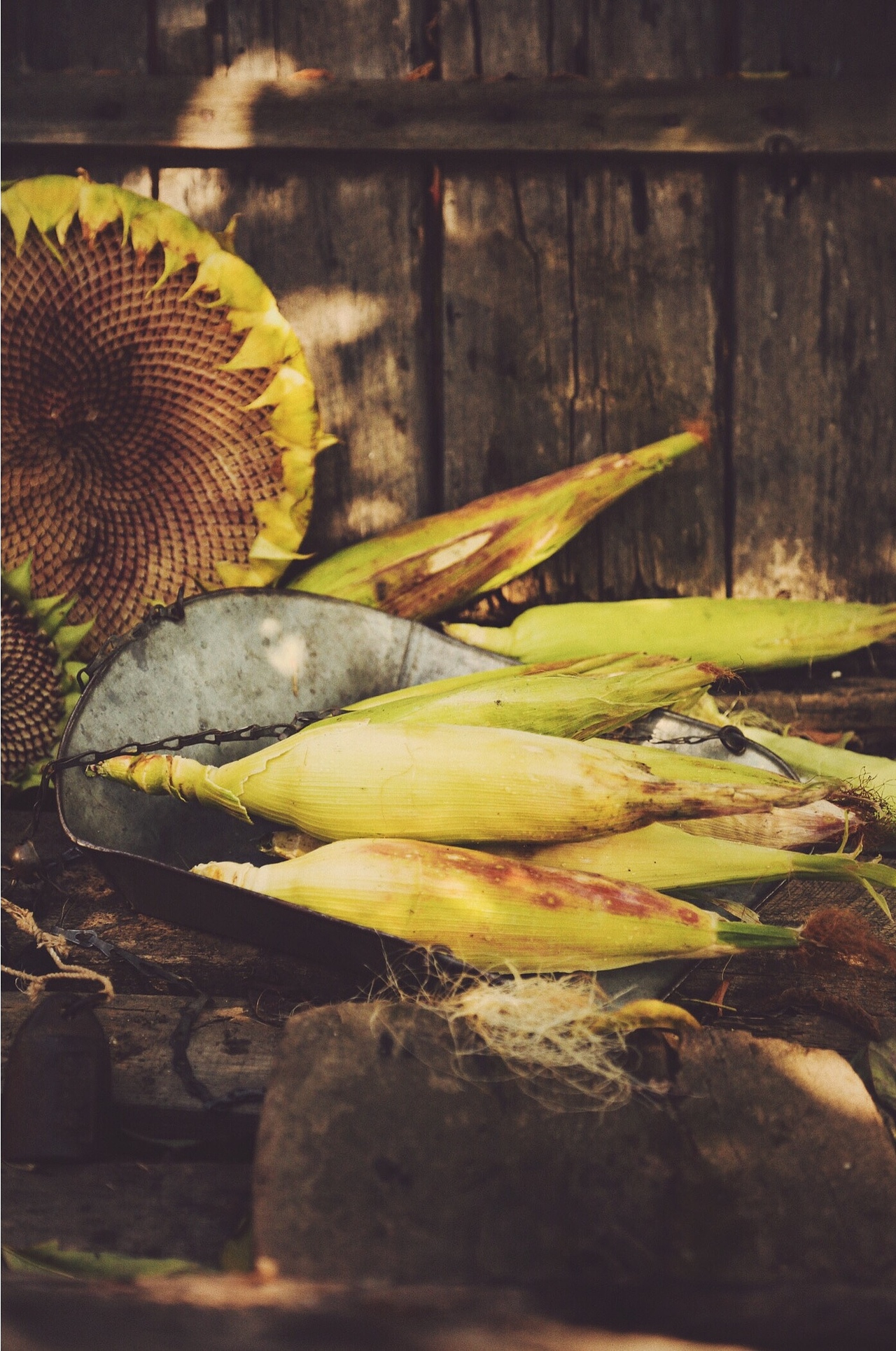 那些，关于丰收的味道（图ZNjEzMzMzMTY=） - 产品摄影 - 站酷设计师未央weiwei原创素材 - 站酷ZCOOL