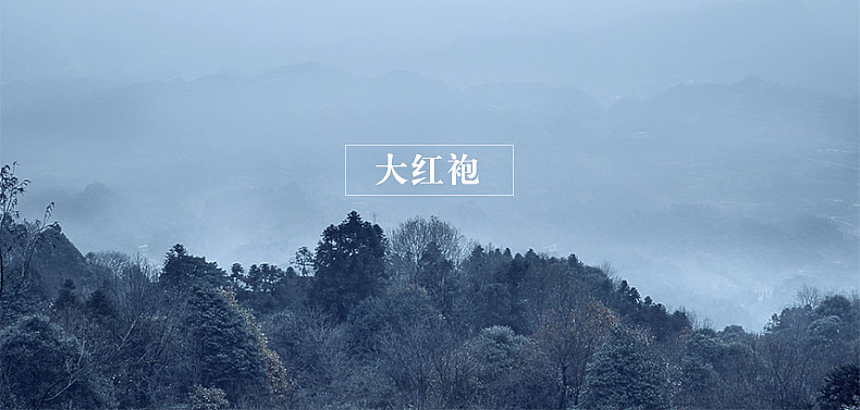 大红袍--正韵级详情（图ZODAxODI1OTY=） - 电商 - 站酷设计师kuyi酷儿原创素材 - 站酷ZCOOL