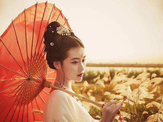 风月知否